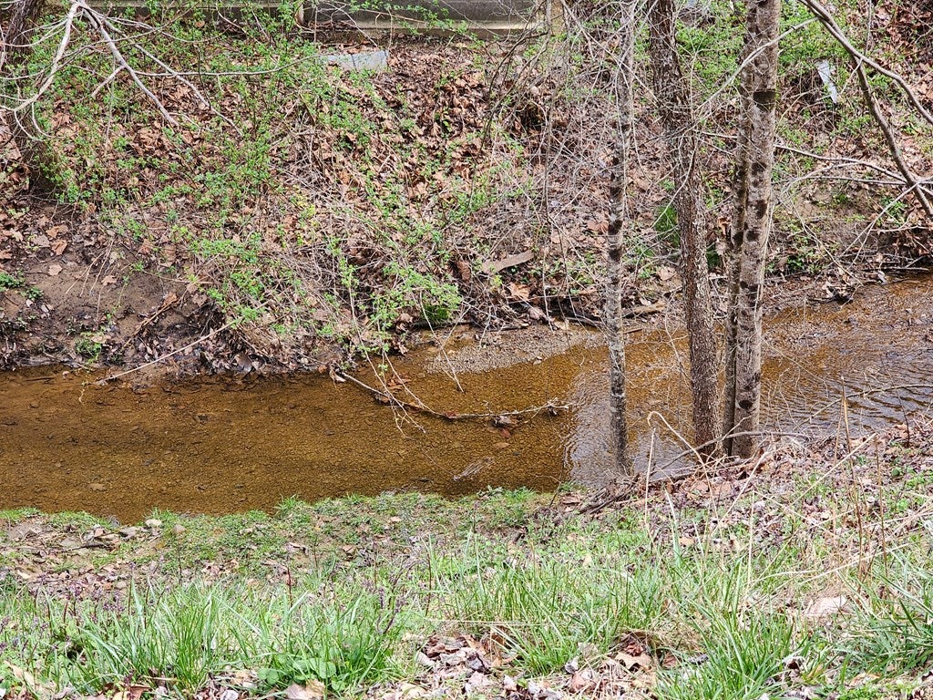 1063 Coal Miner Road Vansant, VA 24656 - Photo 30 of 50 Gallery Image 30