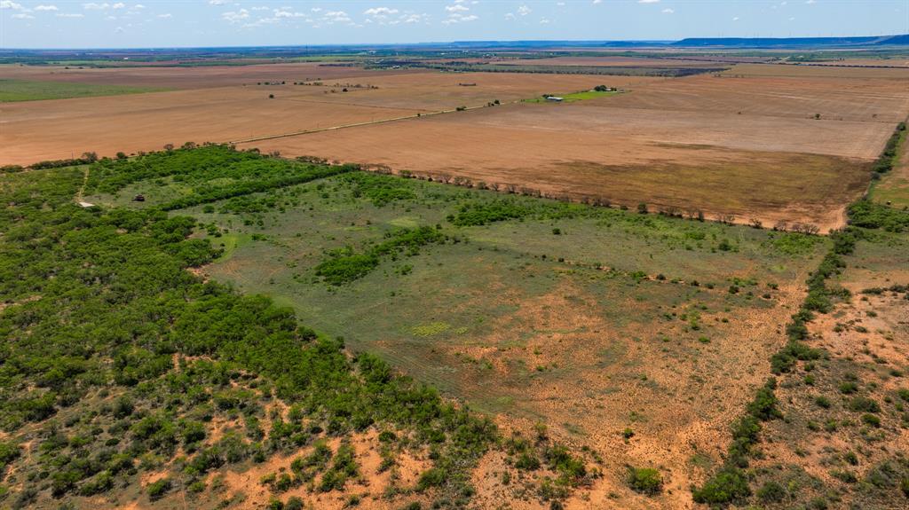 179 County Road Trent, TX 79561 - Photo 14 of 28