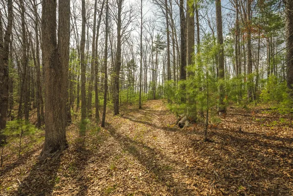 $70,000 | Whip-poor Will Hollow Road, Warm Springs, VA 24484