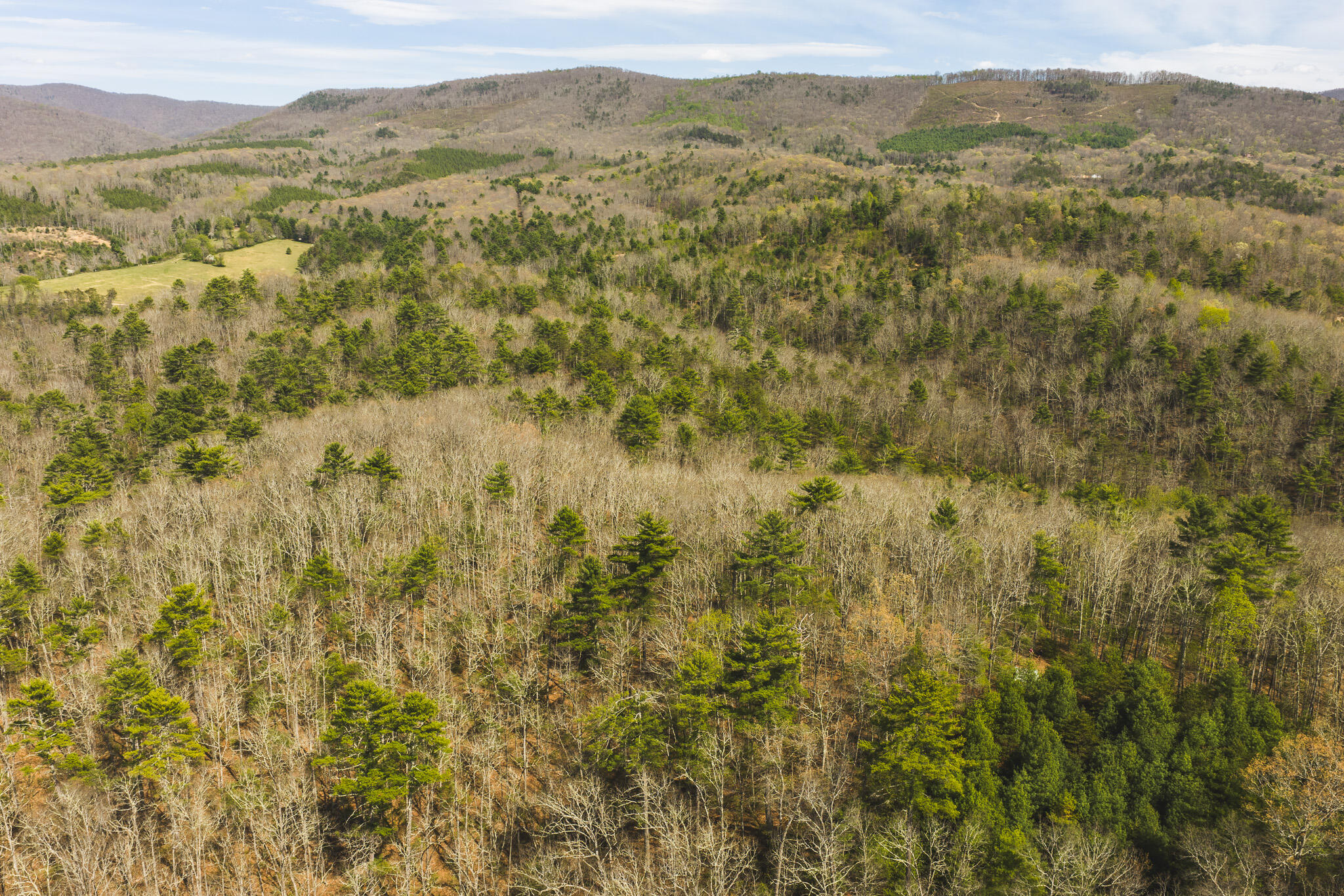 Whip-poor Will Hollow Road Warm Springs, VA 24484 - Photo 14 of 51 a view of a mountain range with trees