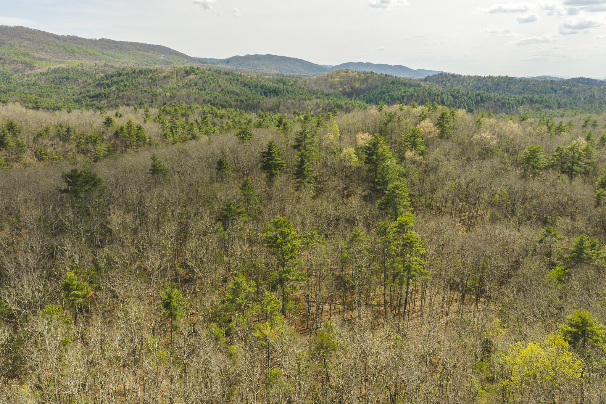 Whip-poor Will Hollow Road Warm Springs, VA 24484 - Photo 22 of 51 a view of lake with mountain