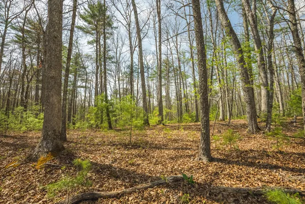 a view of shower and trees