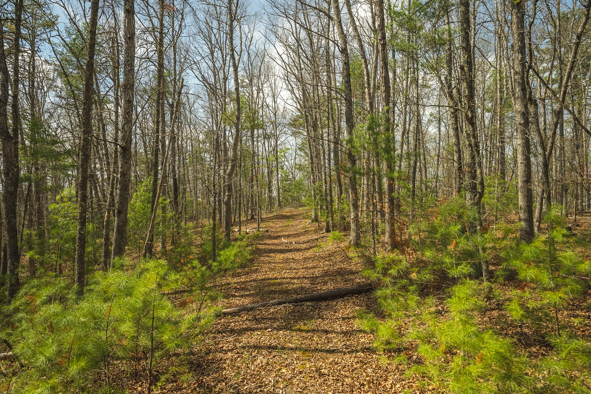 Whip-poor Will Hollow Road Warm Springs, VA 24484 - Photo 41 of 51