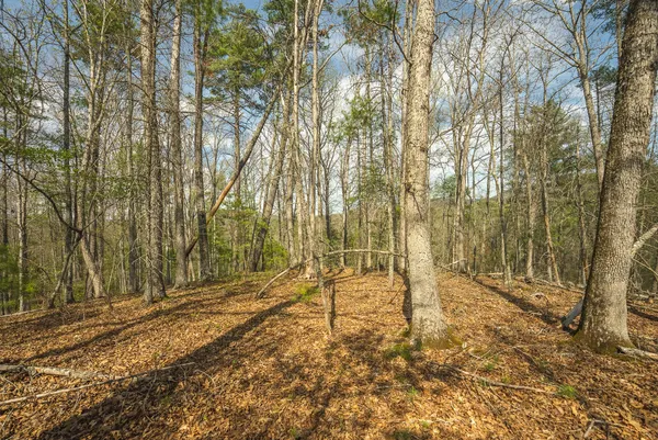 $70,000 | Whip-poor Will Hollow Road, Warm Springs, VA 24484