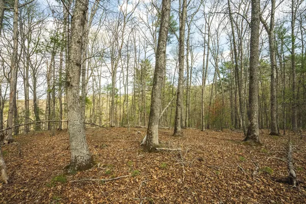 $70,000 | Whip-poor Will Hollow Road, Warm Springs, VA 24484