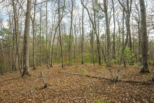 $70,000 | Whip-poor Will Hollow Road, Warm Springs, VA 24484