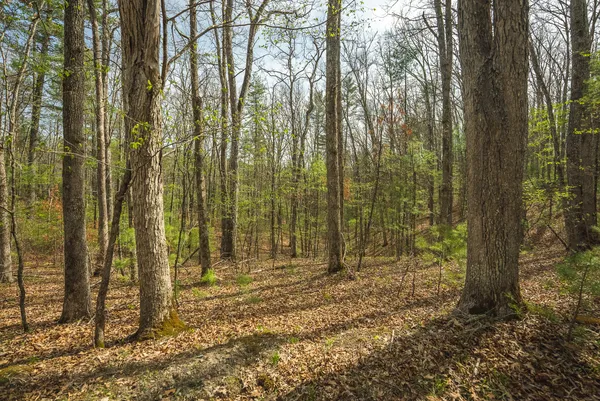 $70,000 | Whip-poor Will Hollow Road, Warm Springs, VA 24484