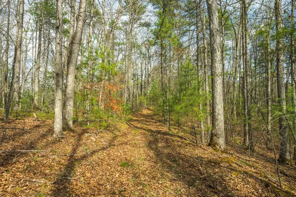 $70,000 | Whip-poor Will Hollow Road, Warm Springs, VA 24484