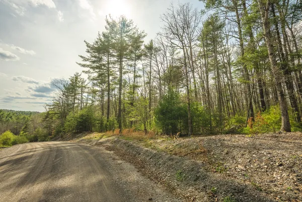 $70,000 | Whip-poor Will Hollow Road, Warm Springs, VA 24484