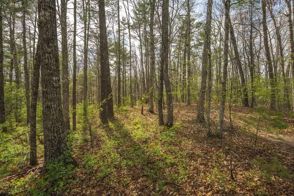 $70,000 | Whip-poor Will Hollow Road, Warm Springs, VA 24484