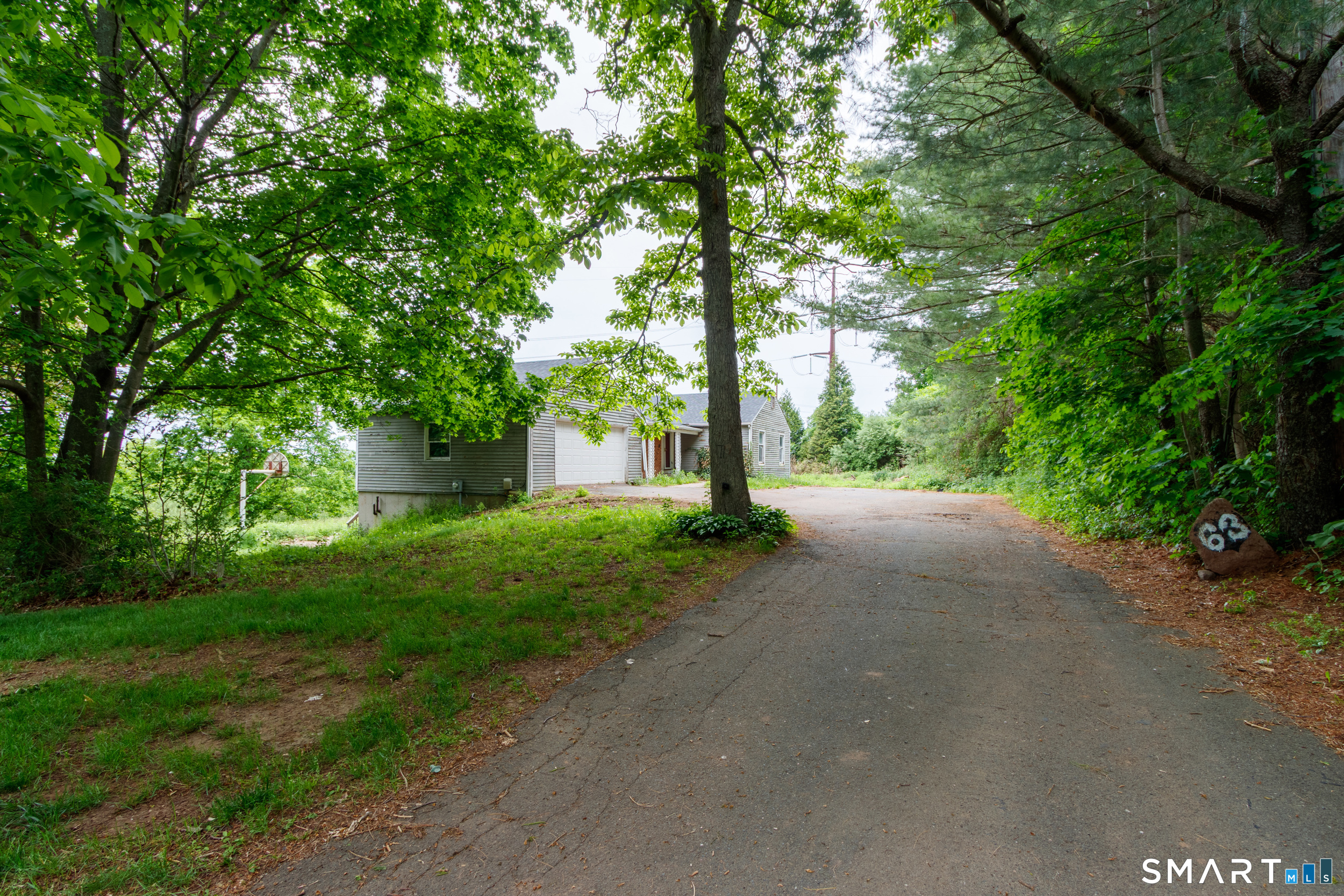 63 High Hill Road Wallingford, CT 06492 - Photo 3 of 34 a view of a yard with plants and trees