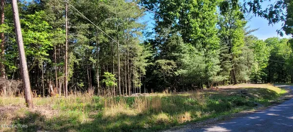 $17,000 | 1.23-acres Dogwood Court, Spring City, TN 37381