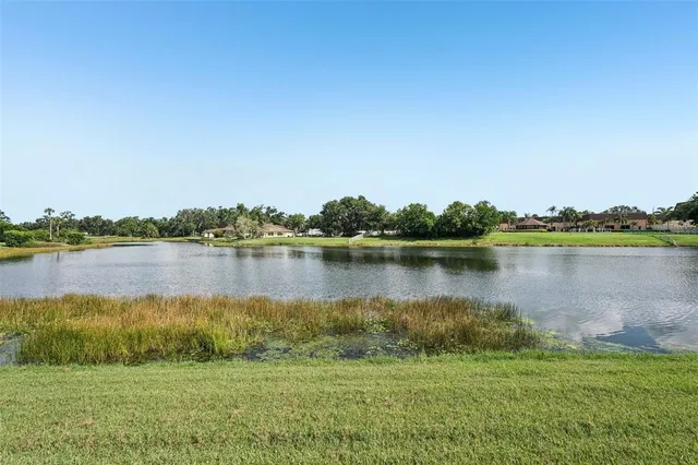 a view of a lake with a city