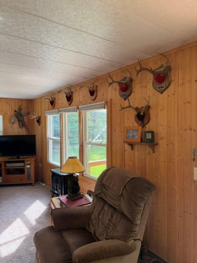 W8895 Co Road Stephenson, MI 49887 - Photo 4 of 31
