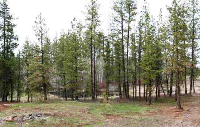 22222 West Baker Road Cheney, WA 99004 - Photo 9 of 9