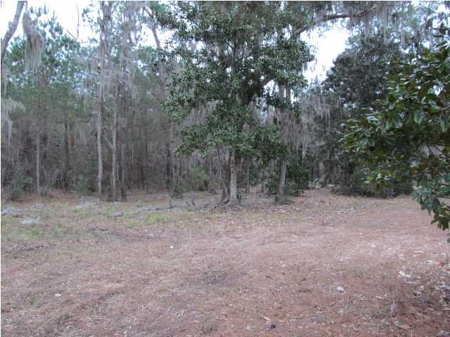 3 Sunset Point Point Vernon, FL 32462 - Photo 5 of 7 a view of a forest with trees in the background