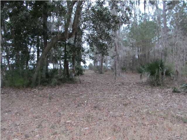 3 Sunset Point Point Vernon, FL 32462 - Photo 6 of 7 a view of a forest with trees in the background