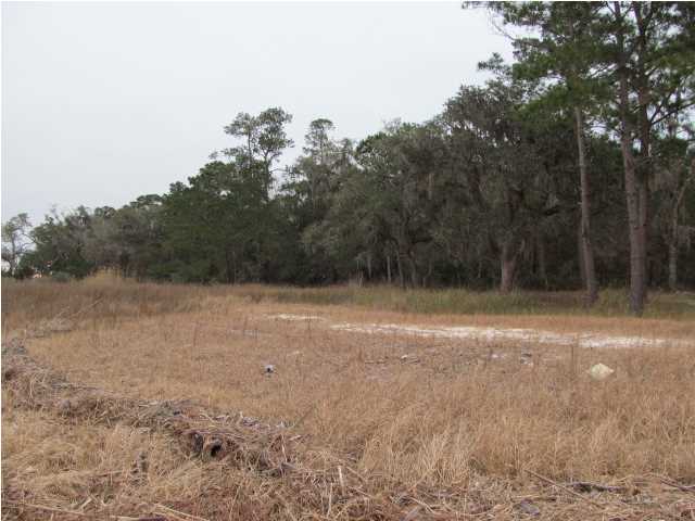 3 Sunset Point Point Vernon, FL 32462 - Photo 7 of 7 a view of outdoor space and yard