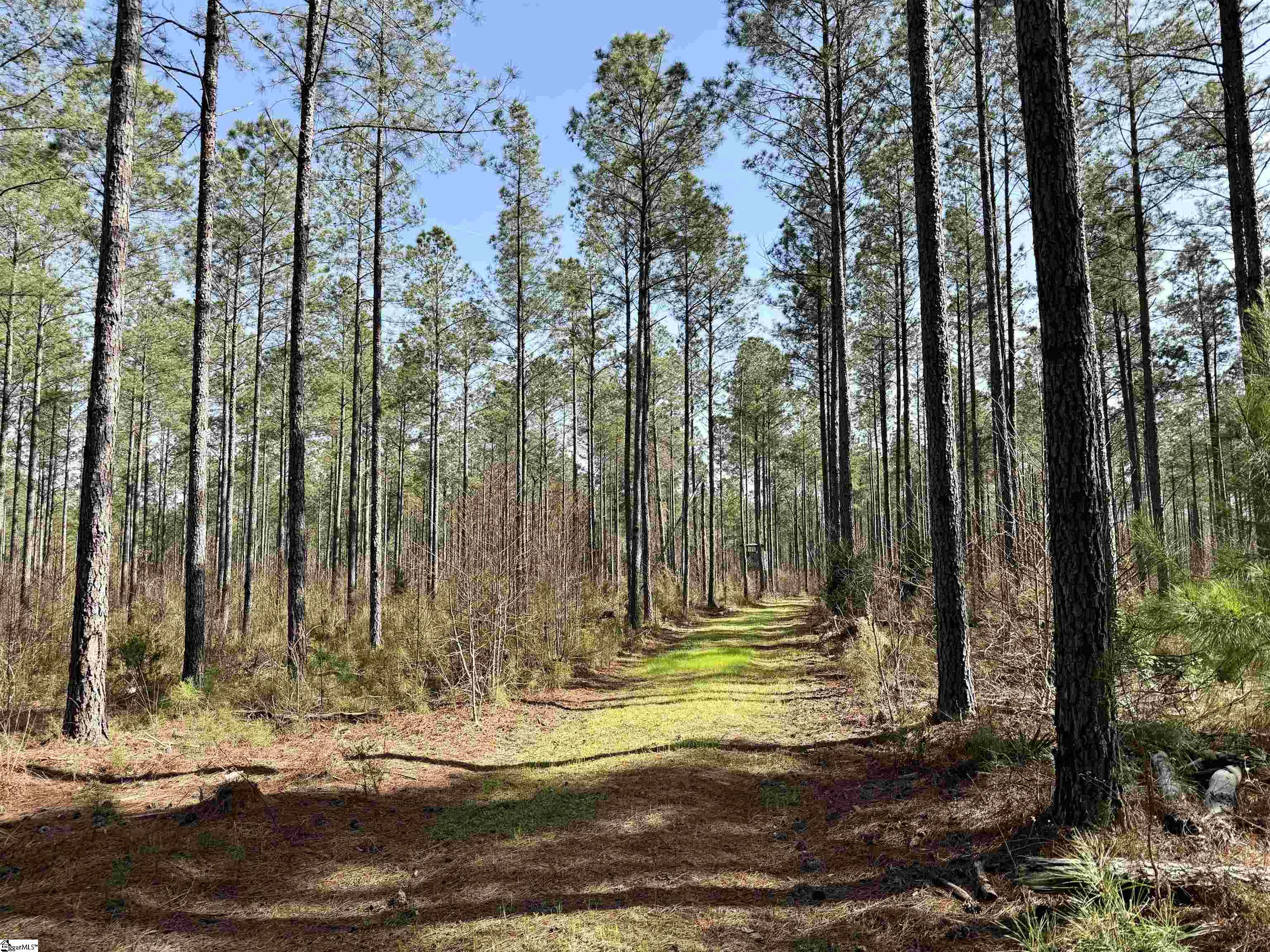 0 Long Cane Road Abbeville, SC 29620 - Photo 20 of 32 Gallery Image 20