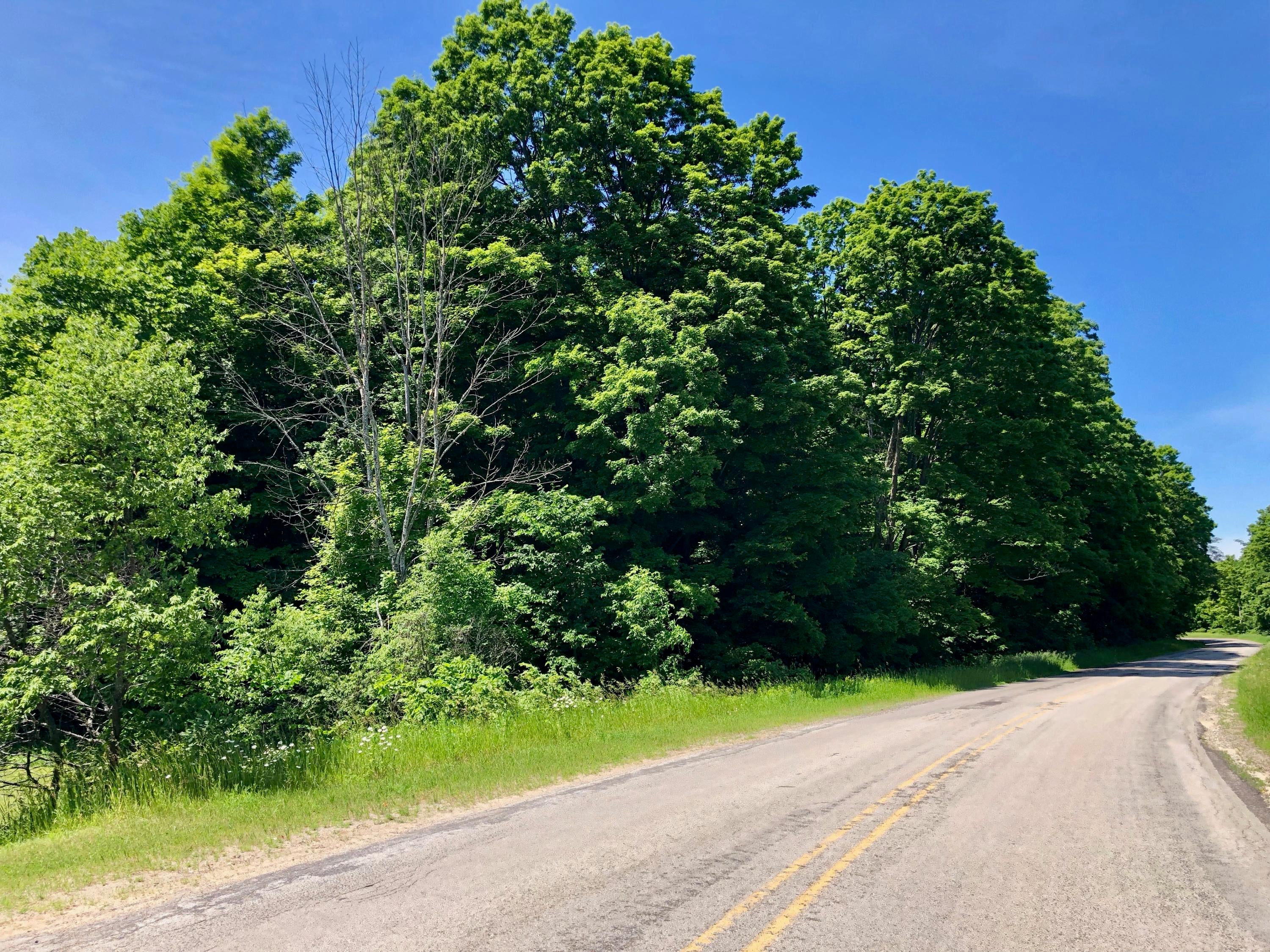 Wilkinson Road Gaylord, MI 49735 - Photo 2 of 10 Gallery Image 2