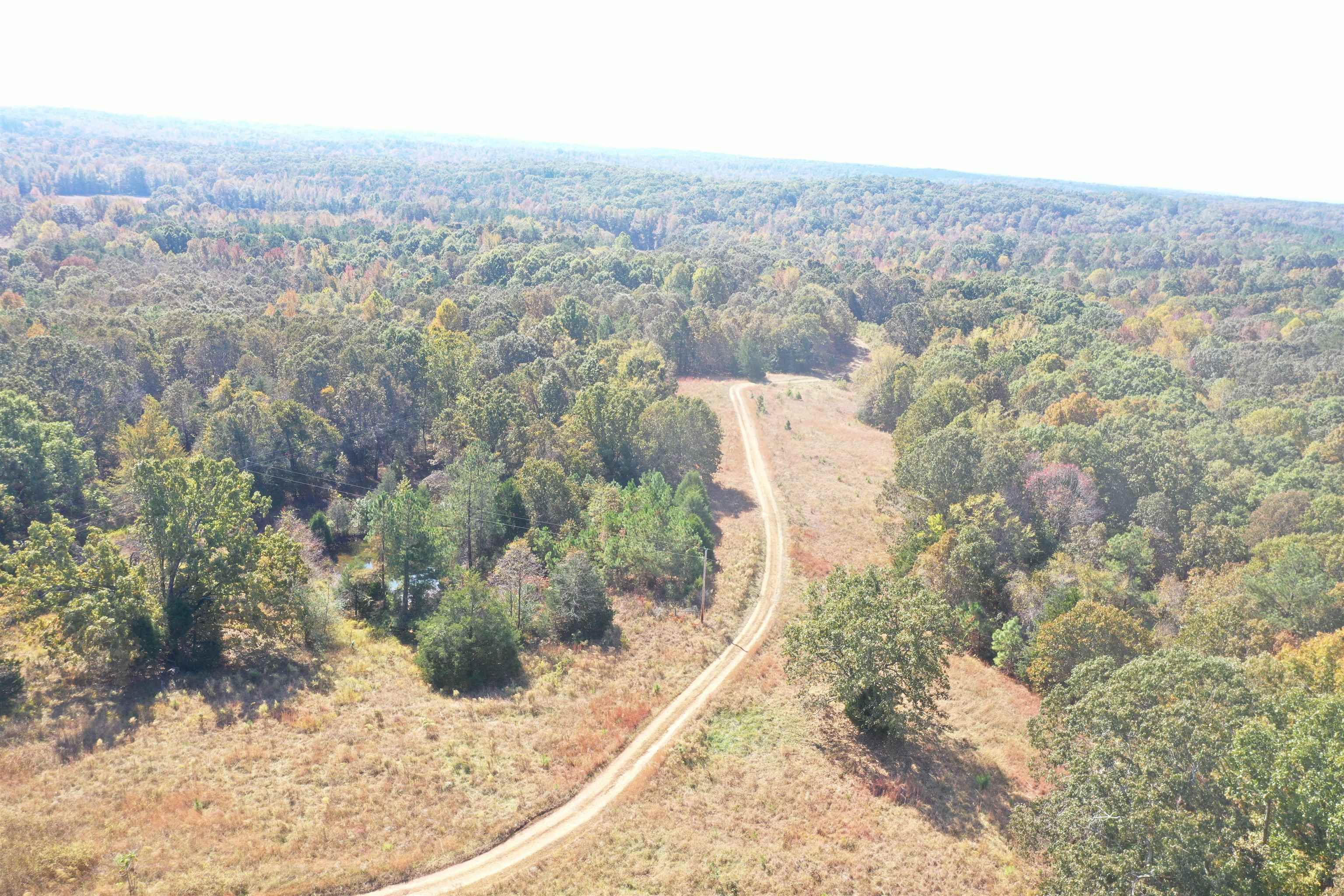 305 Wellington Road Middleton, TN 38052 - Photo 11 of 15 Gallery Image 11