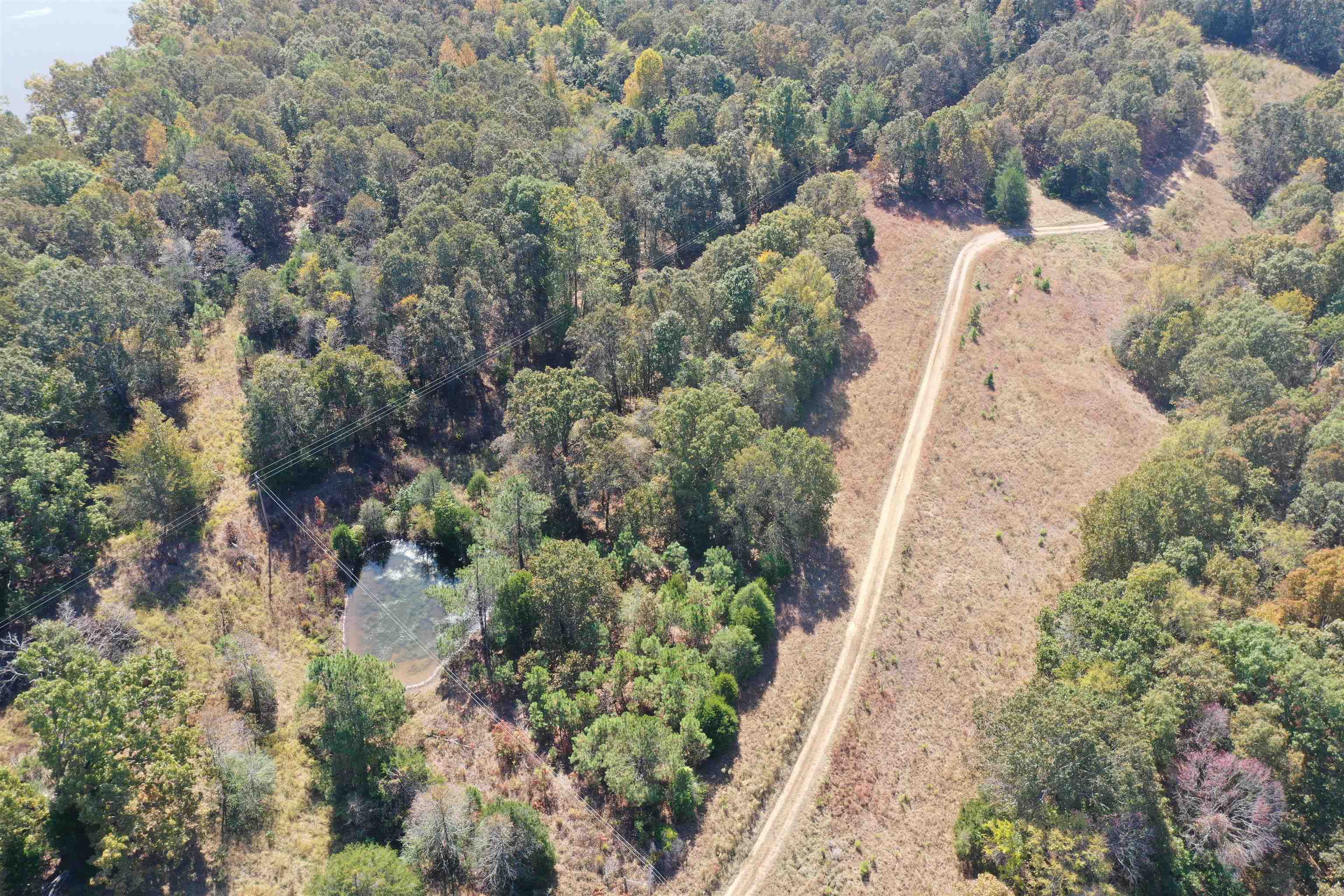 305 Wellington Road Middleton, TN 38052 - Photo 12 of 15 Gallery Image 12