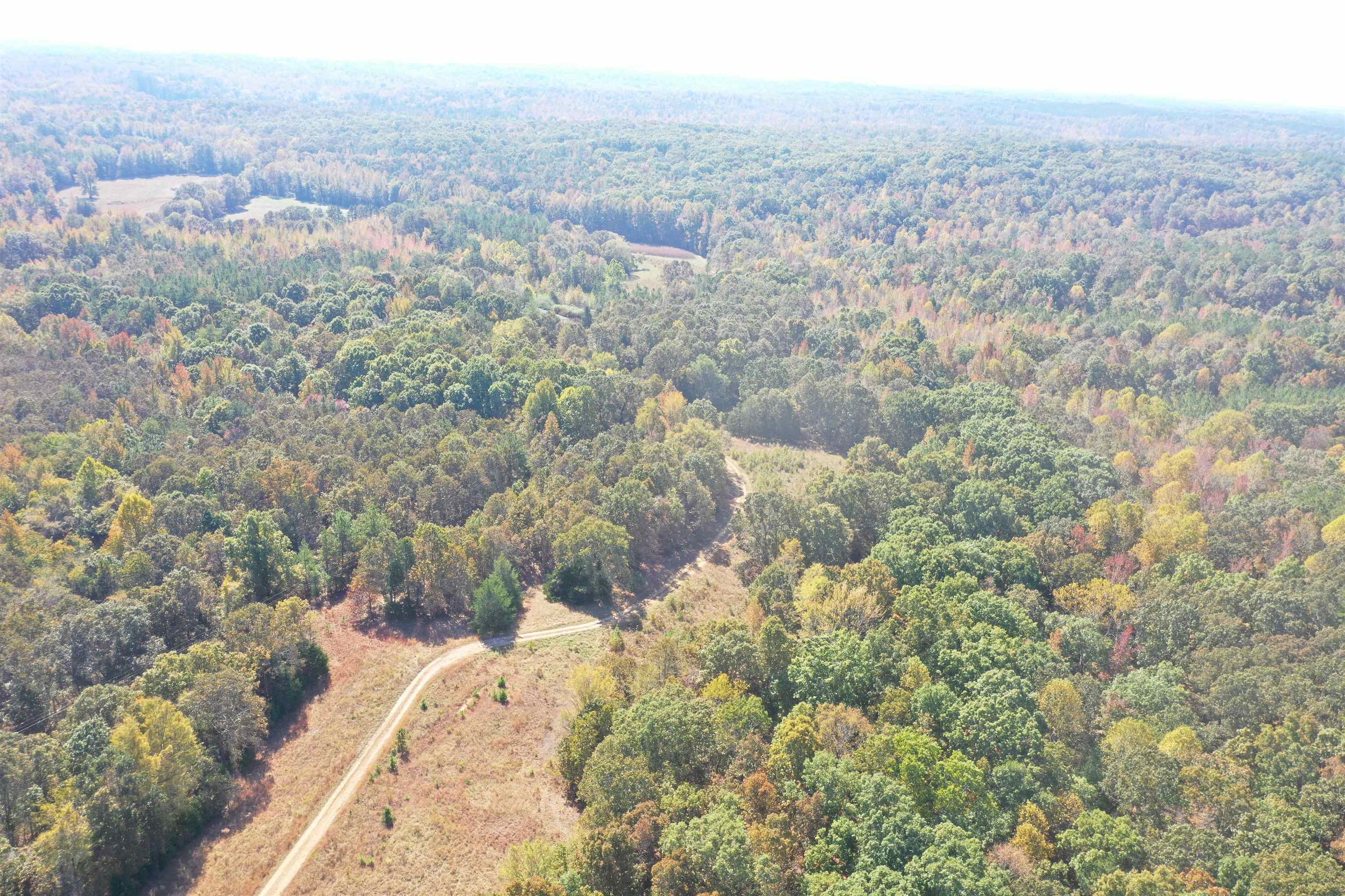 305 Wellington Road Middleton, TN 38052 - Photo 13 of 15 Gallery Image 13