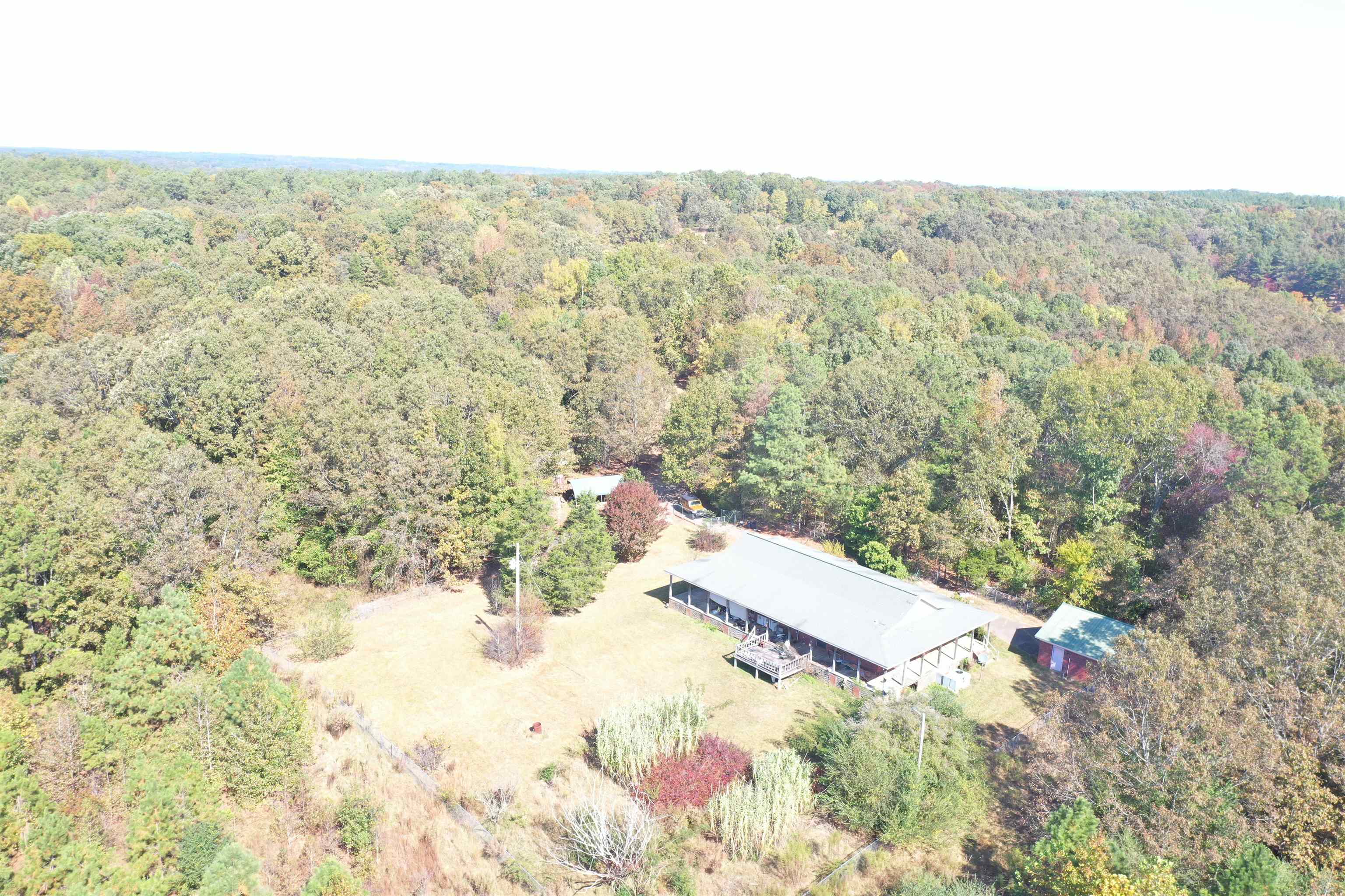305 Wellington Road Middleton, TN 38052 - Photo 8 of 15 Gallery Image 8