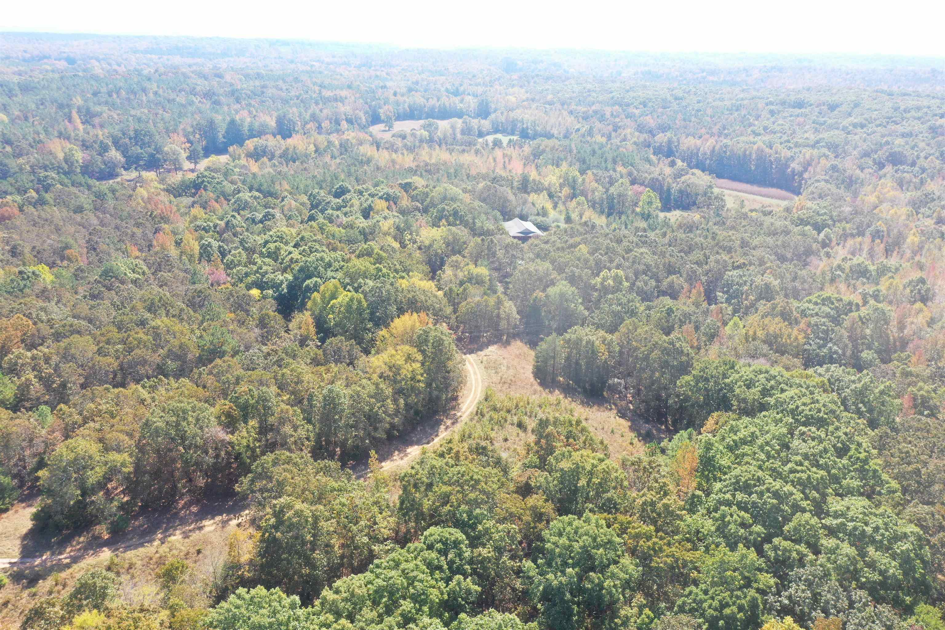 305 Wellington Road Middleton, TN 38052 - Photo 9 of 15 Gallery Image 9