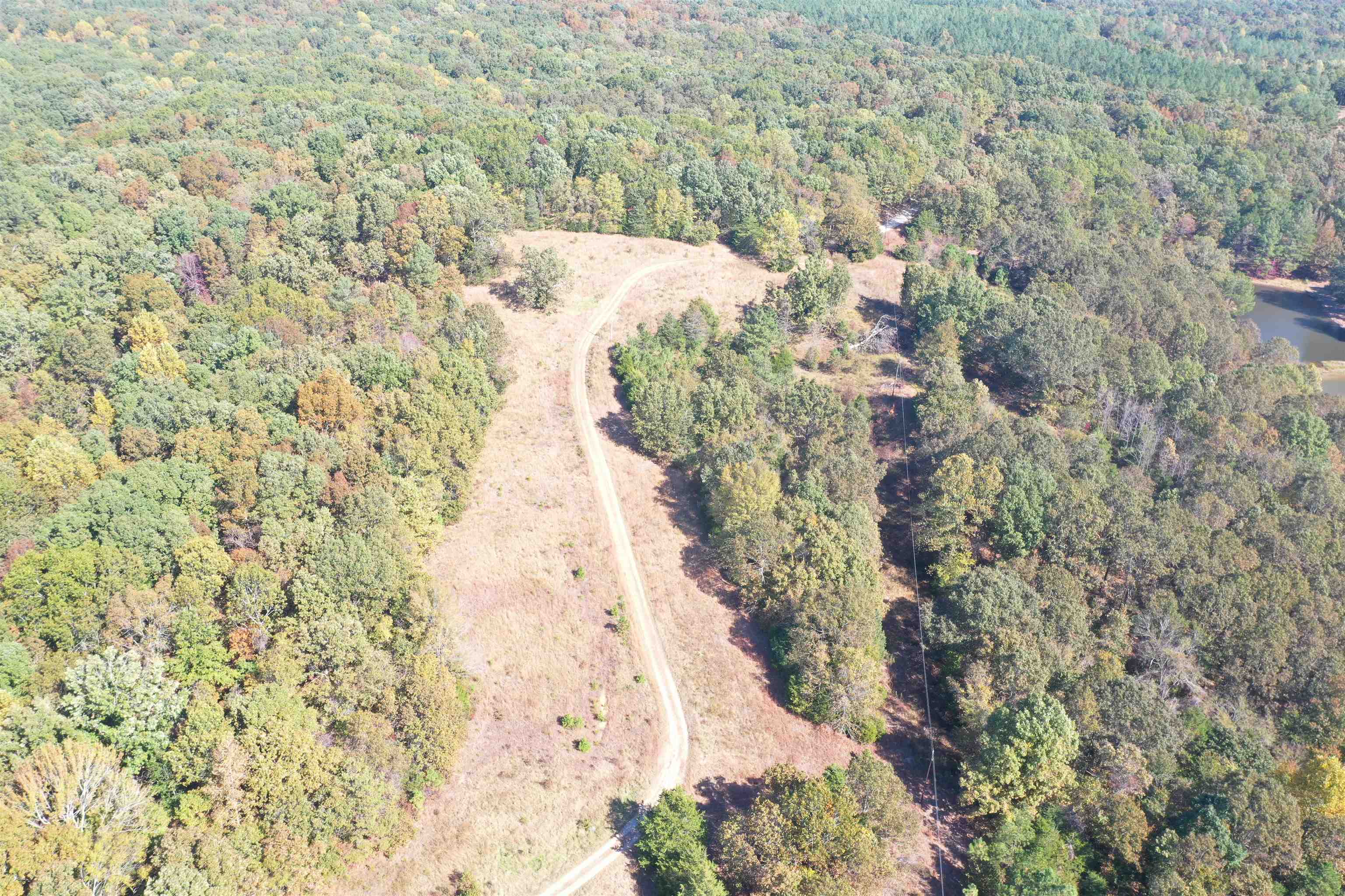 305 Wellington Road Middleton, TN 38052 - Photo 10 of 15 Gallery Image 10