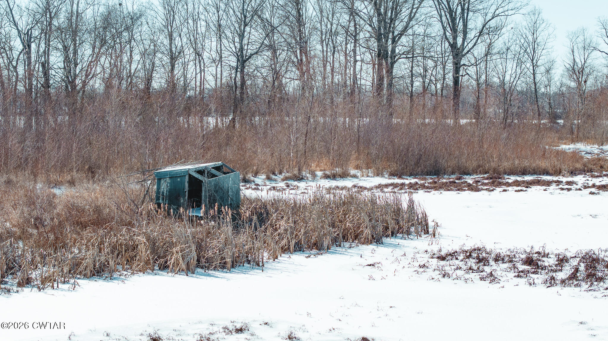 0 Wingo Levee Road Greenfield, TN 38230 - Photo 13 of 34 a view of a backyard of the house