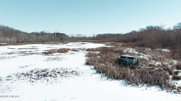 a view of a dry yard