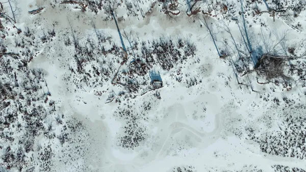 a view of a dry yard with trees
