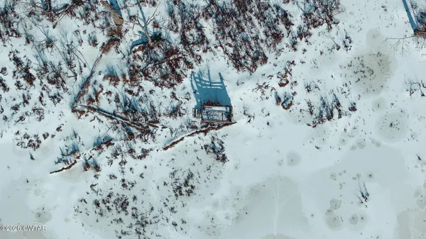 a view of a field with a tree in the background