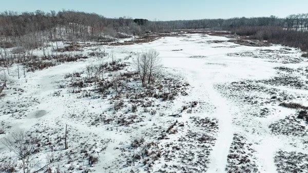 a view of a yard with trees