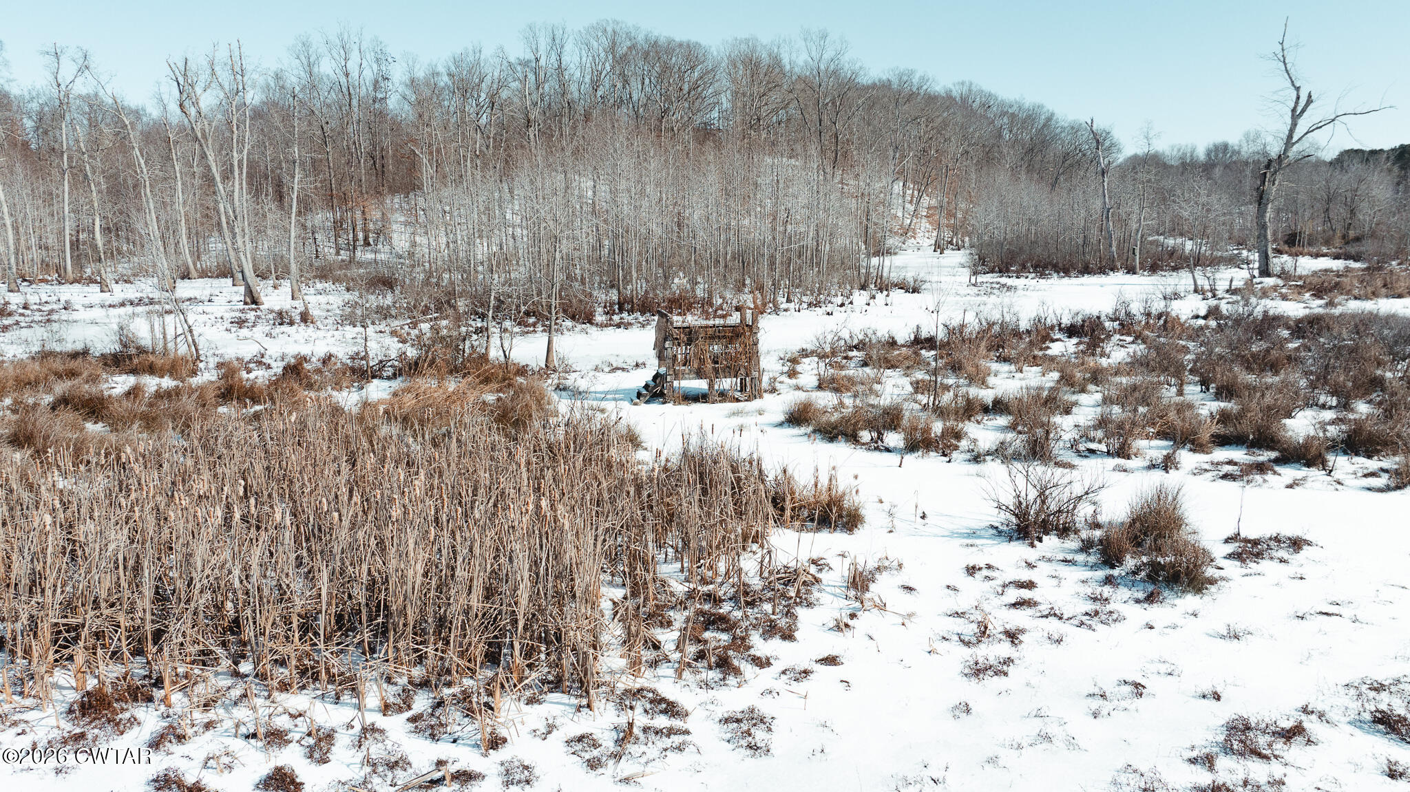 0 Wingo Levee Road Greenfield, TN 38230 - Photo 22 of 34 a view of a yard with trees