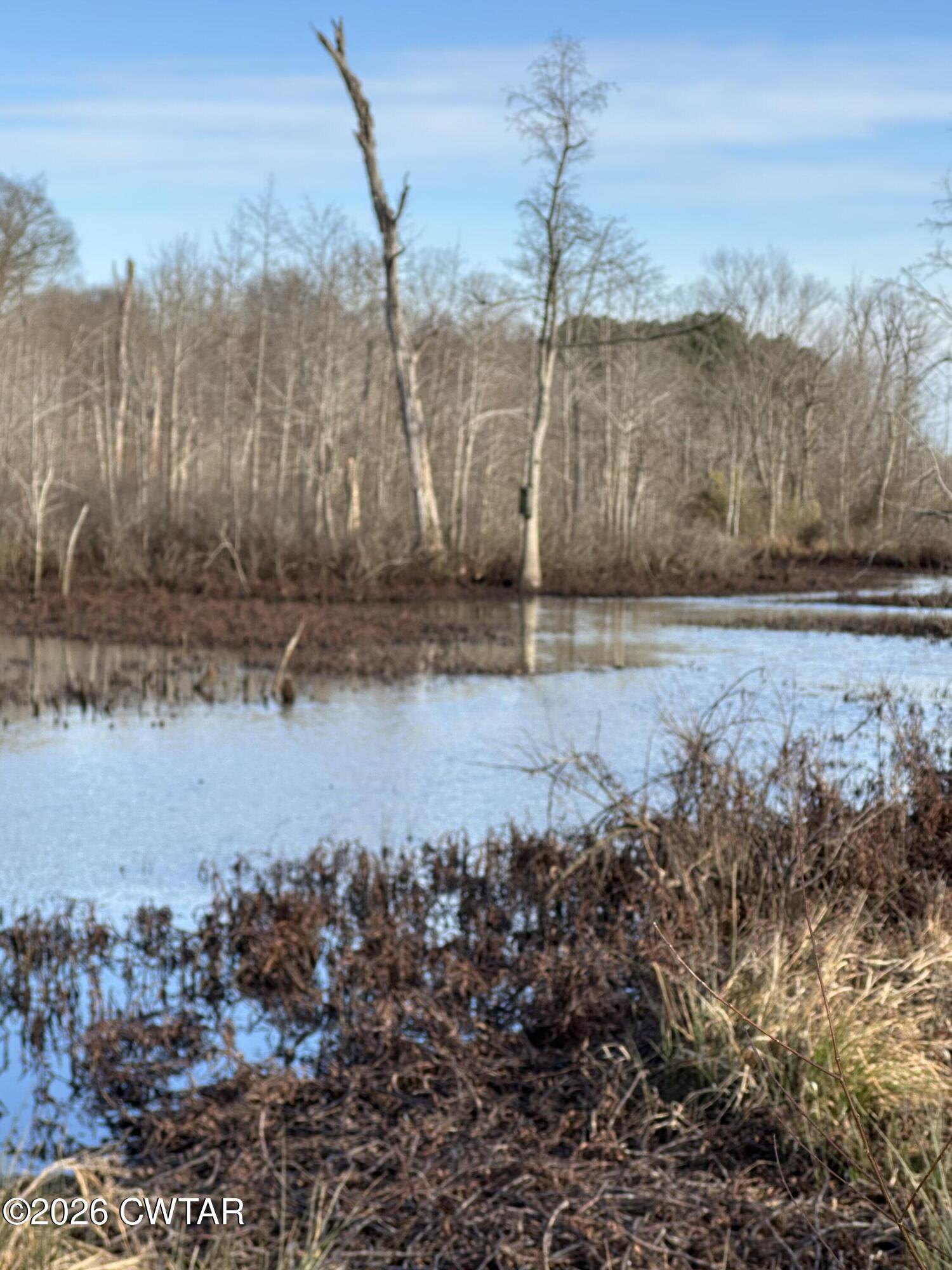 0 Wingo Levee Road Greenfield, TN 38230 - Photo 25 of 34 a view of a lake with a big yard