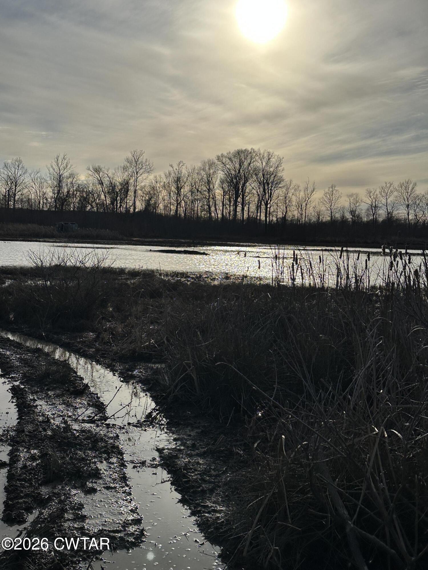 0 Wingo Levee Road Greenfield, TN 38230 - Photo 26 of 34 a view of ocean