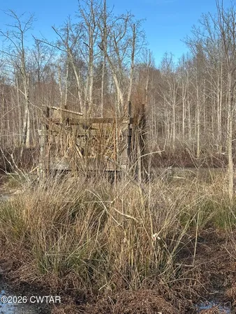 a view of a yard with wooden fence