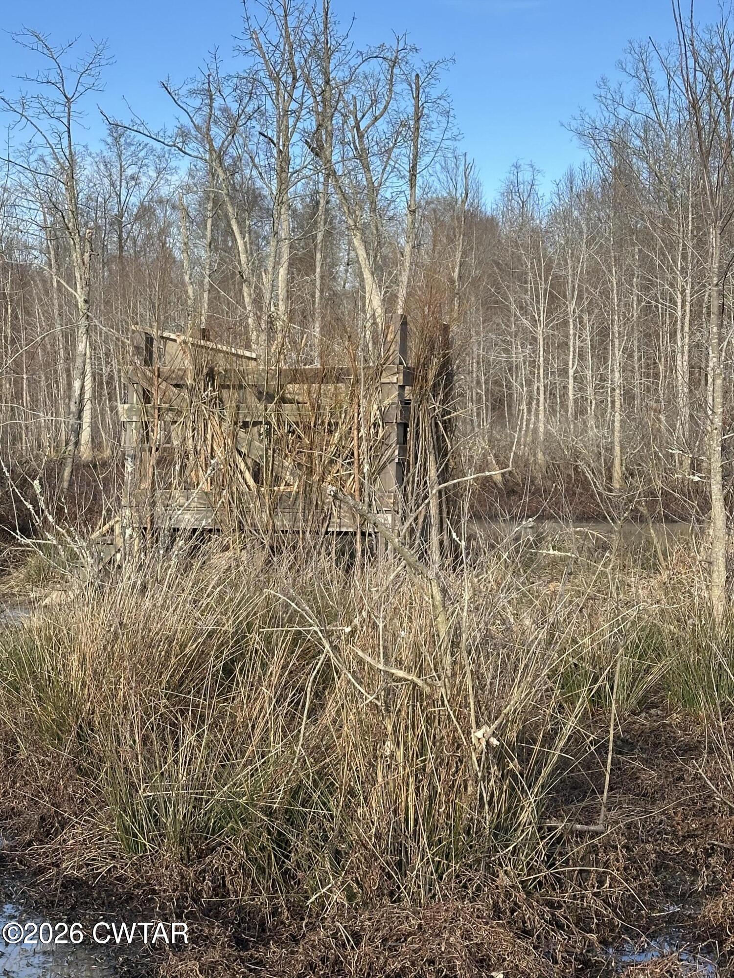 0 Wingo Levee Road Greenfield, TN 38230 - Photo 28 of 34 a view of a yard with large trees