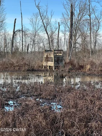 a view of a yard covered with snow