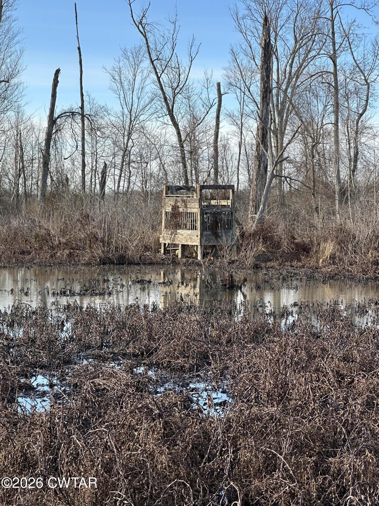0 Wingo Levee Road Greenfield, TN 38230 - Photo 29 of 34 a backyard of a house with lots of green space