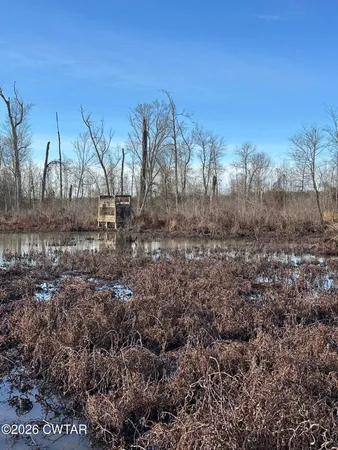 a view of a yard with a mountain