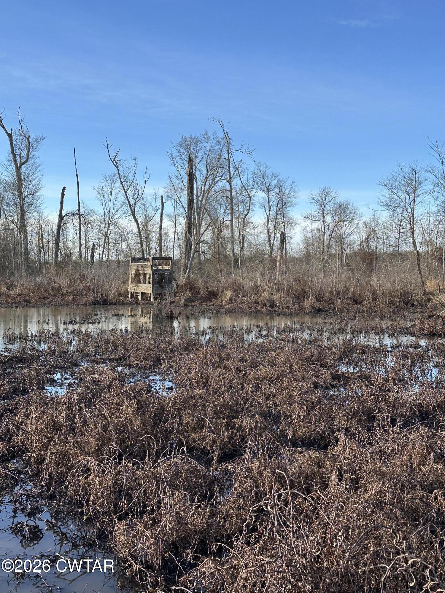 0 Wingo Levee Road Greenfield, TN 38230 - Photo 31 of 34 a view of a yard with wooden fence