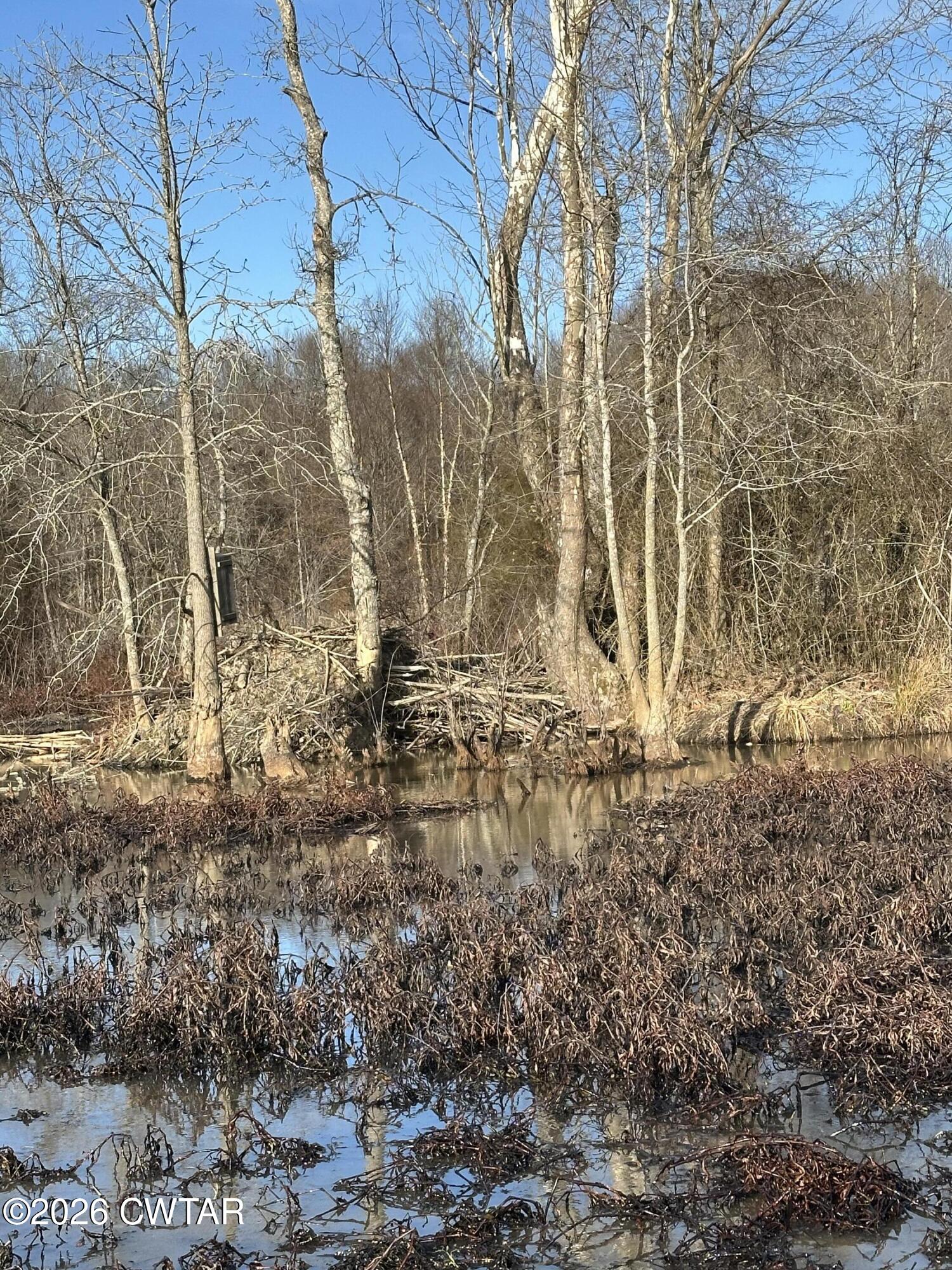 0 Wingo Levee Road Greenfield, TN 38230 - Photo 32 of 34 a view of a yard covered with snow