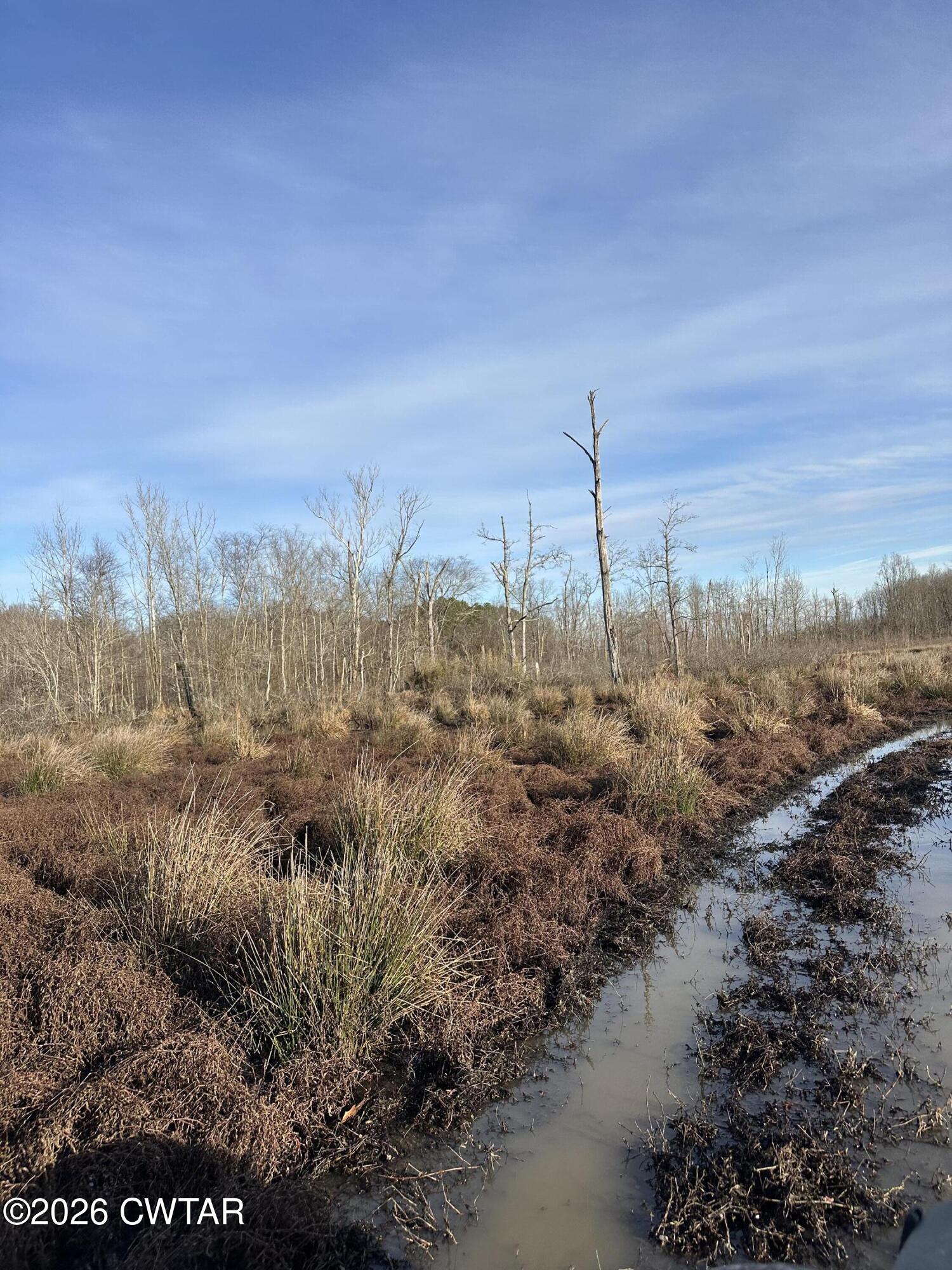 0 Wingo Levee Road Greenfield, TN 38230 - Photo 34 of 34 a view of a yard with a mountain