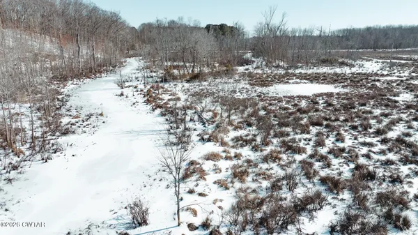 a view of a yard with wooden fence