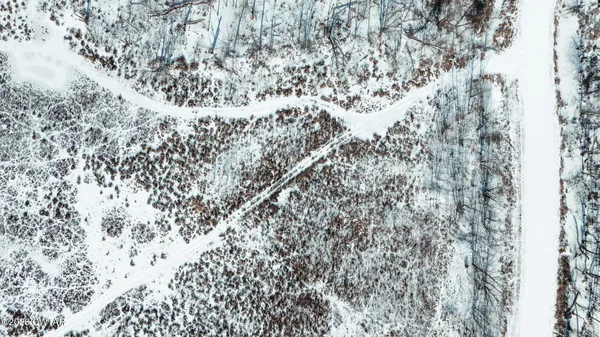 a view of a yard with wooden fence