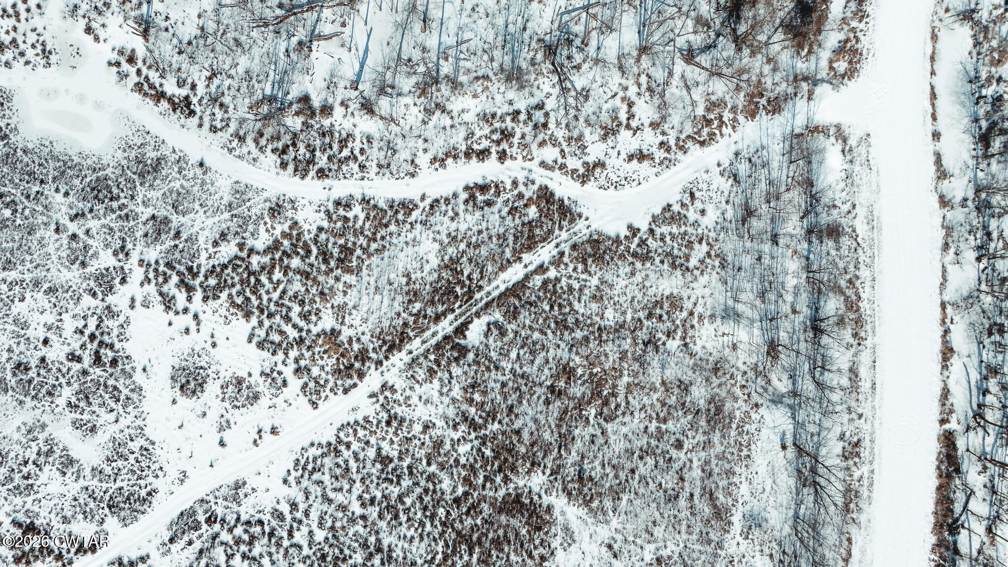 0 Wingo Levee Road Greenfield, TN 38230 - Photo 7 of 34