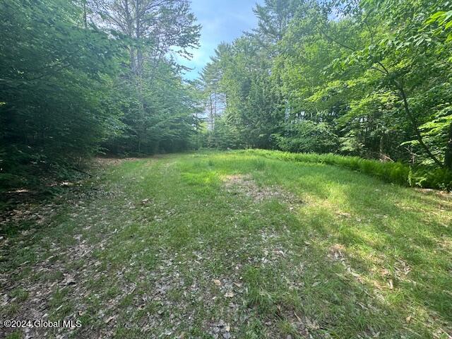 L2.112 Parker Road Corinth, NY 12822 - Photo 10 of 17 IMG_0072